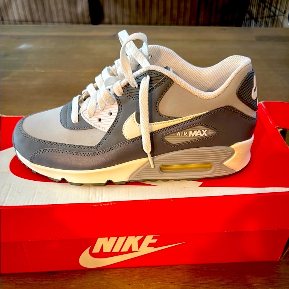 Nike Air Max Gray and White Shoes